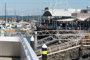 1500_A6504219.jpg 1500_A6504219.jpg