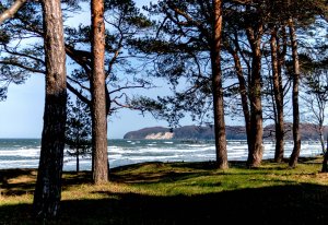 comp_IMG_4774-1.jpg comp_IMG_4774-1.jpg