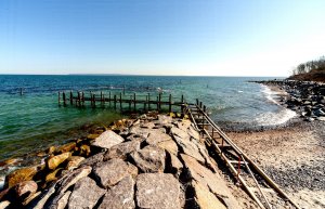 comp_IMG_6549-1.jpg comp_IMG_6549-1.jpg