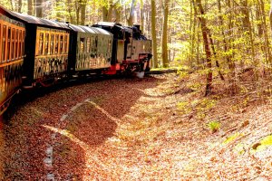 comp_IMG_49711-1.jpg comp_IMG_49711-1.jpg