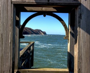 comp_IMG_5608-1.jpg comp_IMG_5608-1.jpg