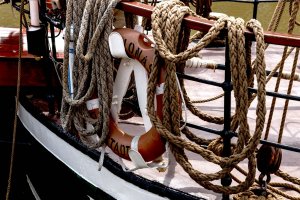 comp_IMG_5113-1.jpg comp_IMG_5113-1.jpg