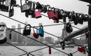 comp_IMG_3697a.jpg comp_IMG_3697a.jpg