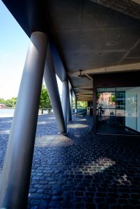 XT1D8377.jpg XT1D8377.jpg