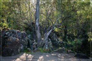 1500_7R203319.jpg 1500_7R203319.jpg