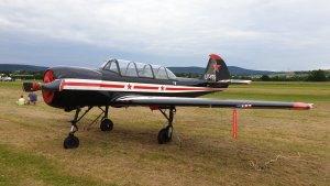 bf_Yak52_20190609.jpg