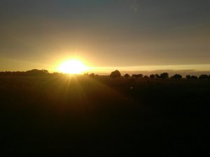 2019-07-06 21.21.40.jpg