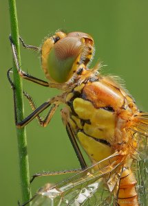 2019-07-07 12-40-21 (B,Radius8,Smoothing4).jpg