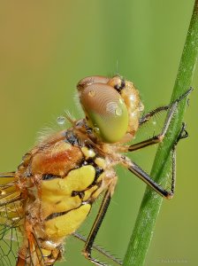 2019-07-07 13-51-10 (C).jpg