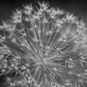 XT2D6184-Bearbeitet-1.jpg XT2D6184-Bearbeitet-1.jpg