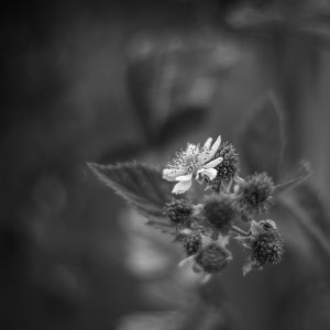 XT2D6146-Bearbeitet.jpg XT2D6146-Bearbeitet.jpg