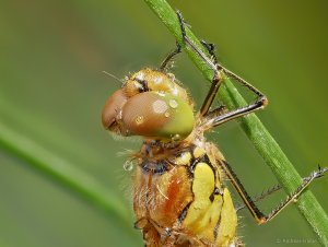 2019-07-14 09-52-39 (C,Smoothing3).jpg