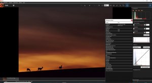 Vollbildaufzeichnung 18.07.2019 105238.jpg