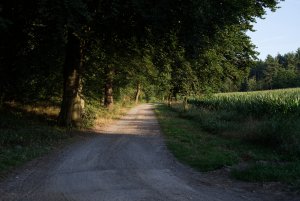 IMGP2158.jpg IMGP2158.jpg