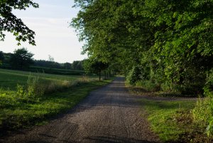 IMGP2163.jpg IMGP2163.jpg