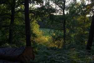 IMGP2172.jpg IMGP2172.jpg