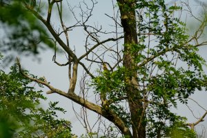 DSC_0224_DxO.jpg DSC_0224_DxO.jpg