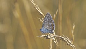 HD_P1090731.jpg HD_P1090731.jpg