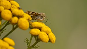 HD_P1090319.jpg HD_P1090319.jpg