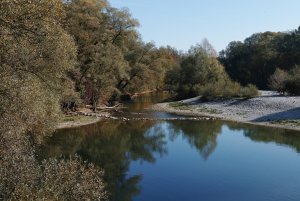 SDQ_2285.ORIGINAL Einstellung.X..jpg