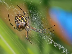 2019-08-25 12-09-22 (A,Radius8,Smoothing3)-2.jpg