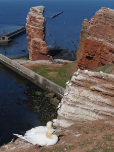 bf_P1100653.jpg bf_P1100653.jpg