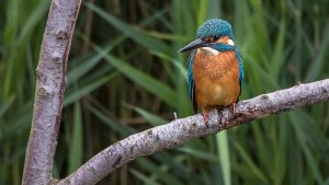 _MG_2256-Bearbeitet.jpg _MG_2256-Bearbeitet.jpg