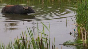 _MG_2424.jpg _MG_2424.jpg