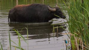 _MG_2430.jpg _MG_2430.jpg