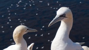 bf_P1100622_16_9.jpg bf_P1100622_16_9.jpg