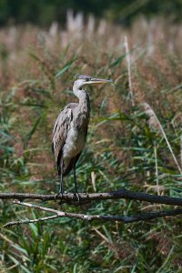 WebQ82_DSC_2872_ISO400_1-800 s_1.jpg