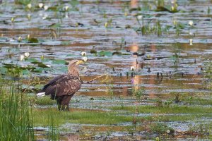 WebQ82_DSC_3147_ISO1600_1-1000 s.jpg