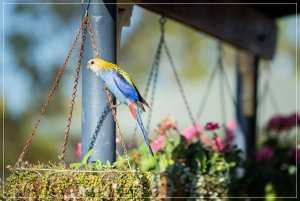 1500_7R203590-Bearbeitet.jpg 1500_7R203590-Bearbeitet.jpg