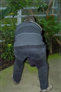 WPau-SD14 - SDIM6519.jpg