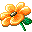 intro-flower.gif