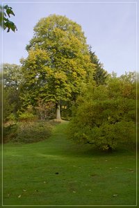 IndianSummer-SD14 - SDIM7445.jpg