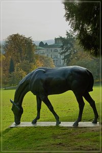 IndianSummer-SD14 - SDIM7462.jpg