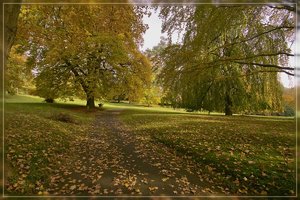 IndianSummer-SD14 - SDIM7475.jpg