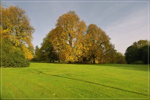 IndianSummer-SD14 - SDIM7486.jpg