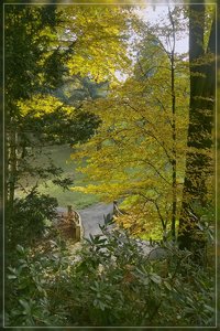 IndianSummer-SD14 - SDIM7518.jpg