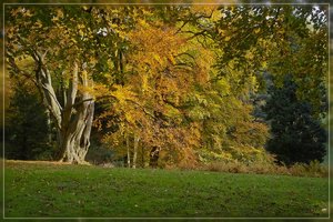 IndianSummer-SD14 - SDIM7519.jpg