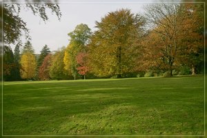 IndianSummer-SD14 - SDIM7522.jpg