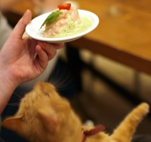 comp_brutus mit nachtisch.jpg