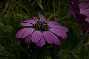 20100418-(701 von 1).jpg