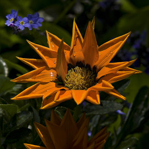 20100522-(797 von 1).jpg