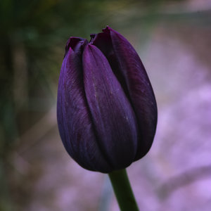 20100502-(739 von 1).jpg