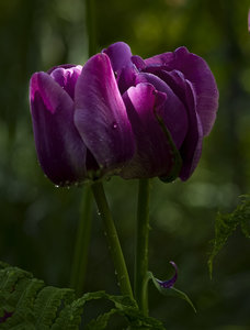 20100522-(799 von 1).jpg