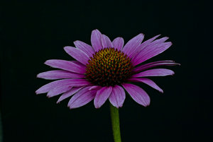 20100801-(957 von 1).jpg