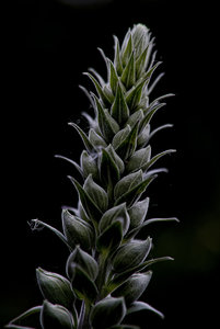 20100613-(837 von 1).jpg