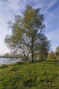 Ruhrwiesen-SD10 - IMG09385.jpg